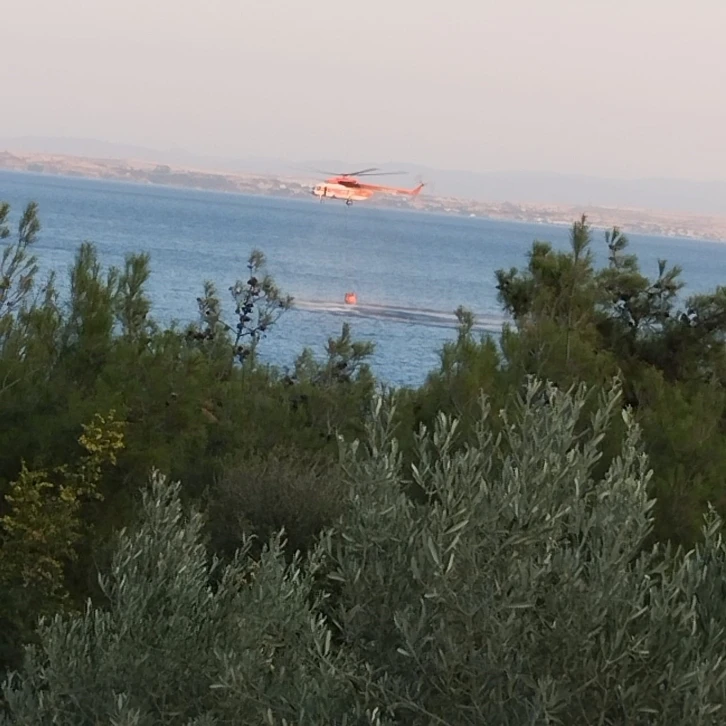 Piknik ateşinden çıkan orman yangını söndürüldü
