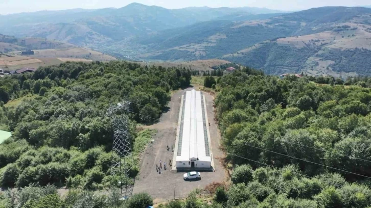 ’Proteo’nun yasaklı misafirleri
