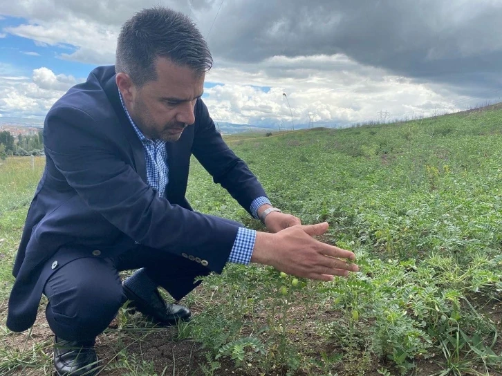 Pursaklar Belediyesinden üretim seferberliği
