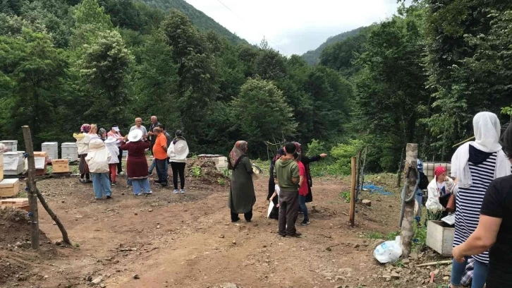 "Arı gibi çalışkan" kadınlar arı üretimi eğitiminde
