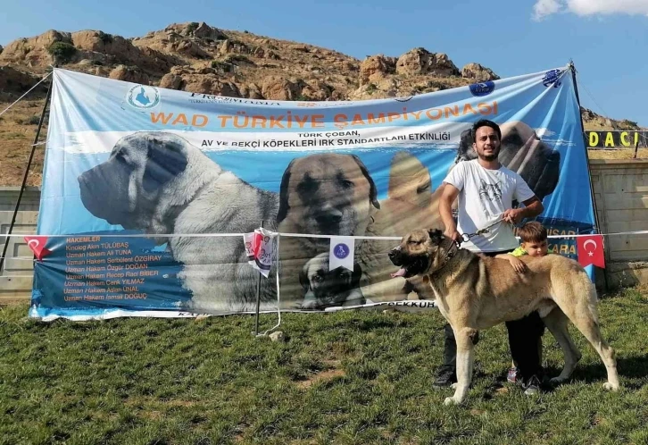 "Dozer" isimli köpeğiyle katıldığı yarışmadan birincilikle döndü
