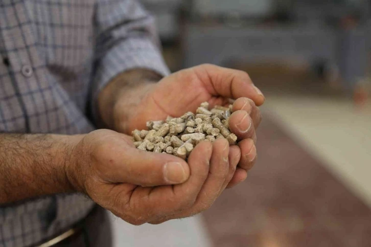 "Orman ürünleri ziyan olmasın" diye pelet fabrikası kurdu
