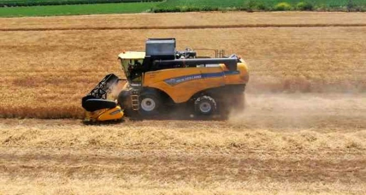 Rekolte yüksek olacak, stratejik ürün buğdayda hasat başladı