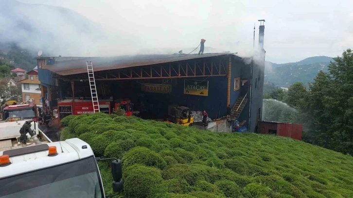 Rize’de çay fabrikasında yangın çıktı
