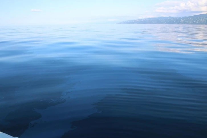 Rize sadece çayı ile değil petrolü ile de anılacak
