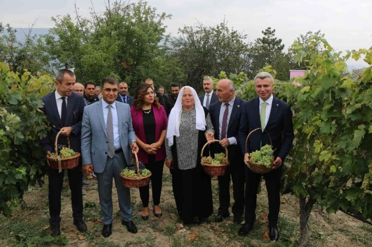 Safranbolu’nun yerel ürünü ’çavuş üzümü’ne coğrafi işaret
