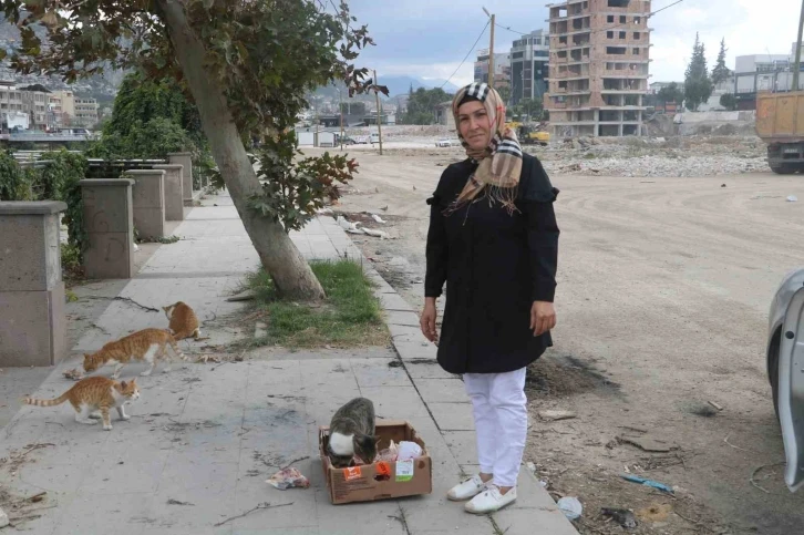 Sağlık çalışanı, sayıları 100’ü aşan sokak hayvanlarının umudu oldu
