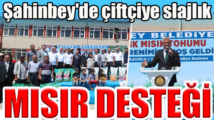  Şahinbey'de çiftçiye slajlık mısır desteği