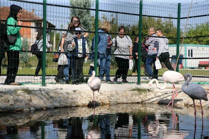 Sakarya Büyükşehir’in özel çocukları doğanın tadını çıkardı
