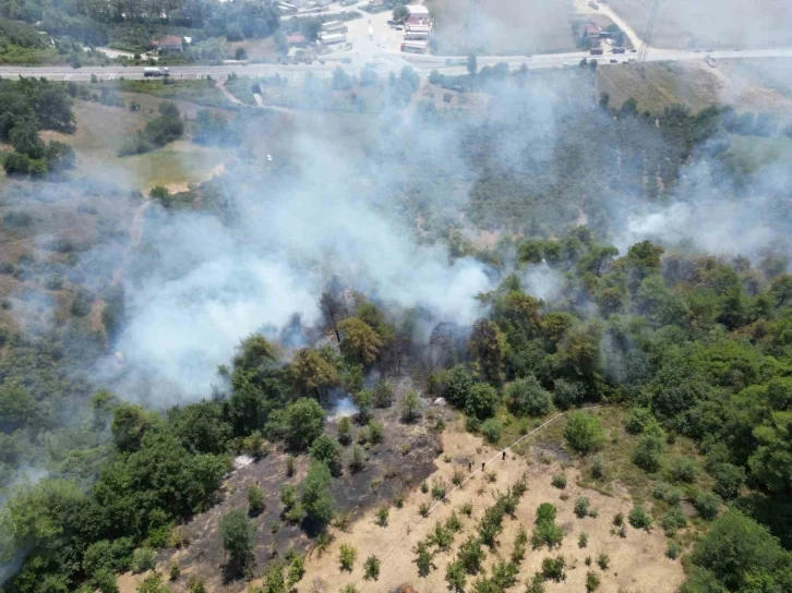 Sakarya’da çıkan orman yangını havadan görüntülendi
