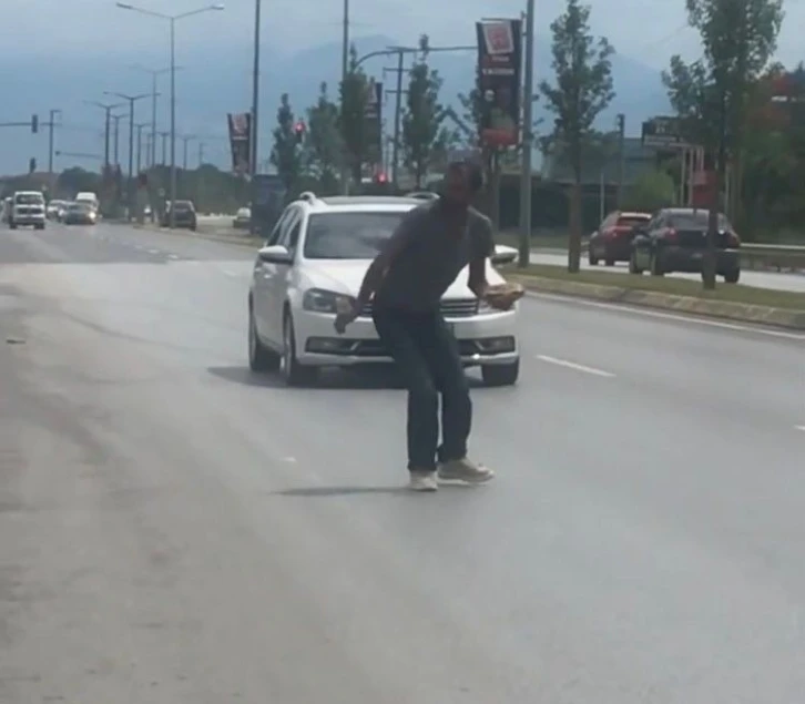 Sakarya’da kaplumbağa için trafik durdu
