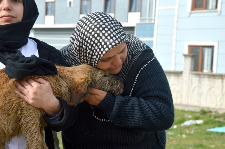 Sakarya’da köpeği ile sahibinin öldürülmekle tehdit edildiği iddiası
