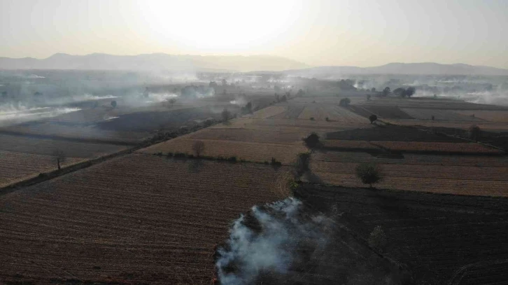 Sakarya’nın korkulu rüyası anız yangınları ekipleri harekete geçirdi
