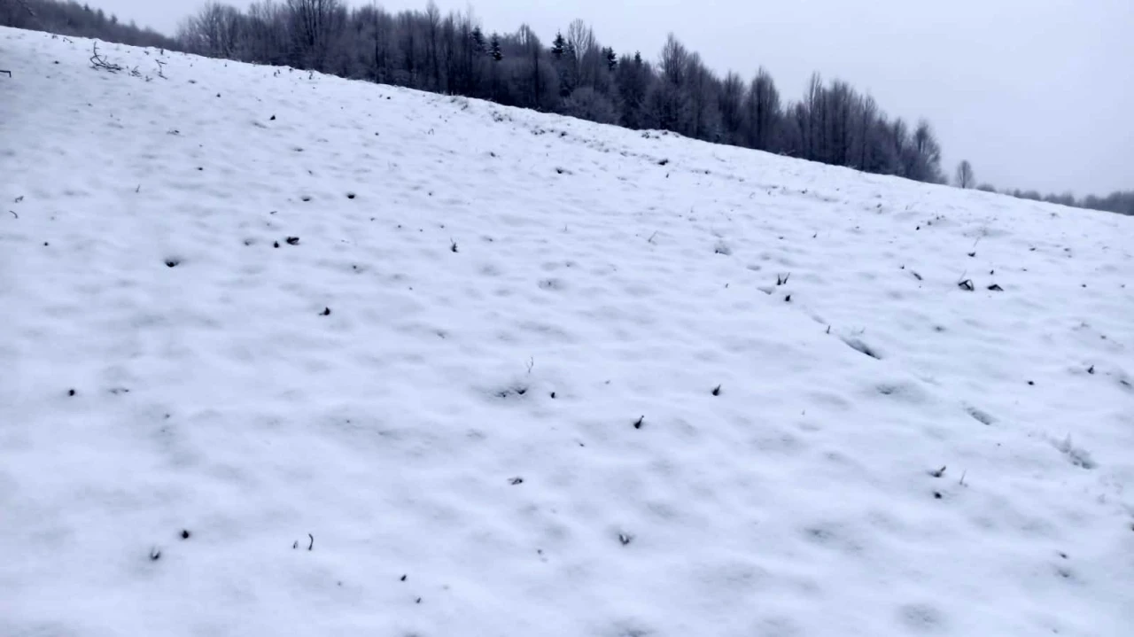 Sakarya’nın yüksek kesimleri yeniden beyaz gelinliğini giydi
