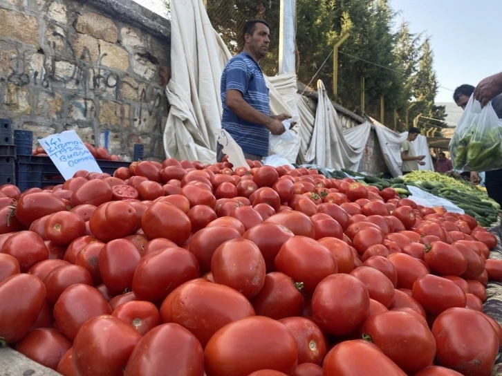 Salçalık domates ve biberler tezgahlarda
