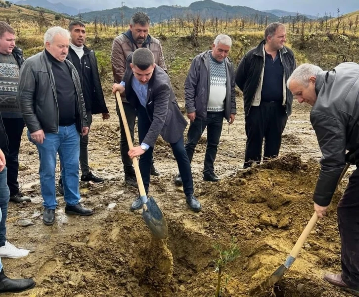 Salihli’de Başbuğ Türkeş anısına 106 zeytin fidanı dikildi
