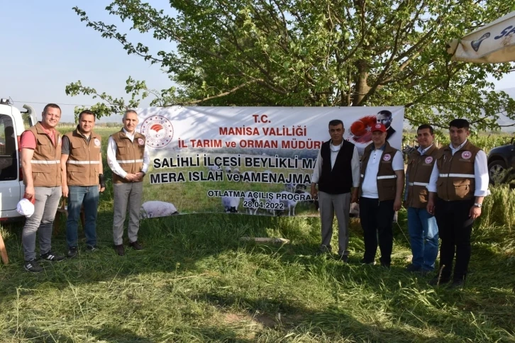 Salihli’de ıslah edilen meralar kullanıma açıldı
