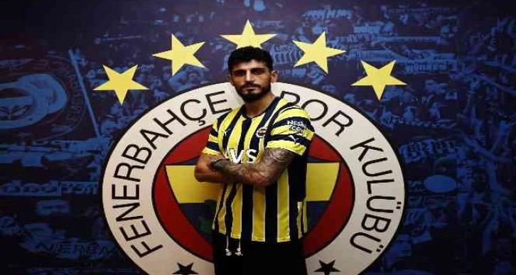 Samet Akaydın, Fenerbahçe'de