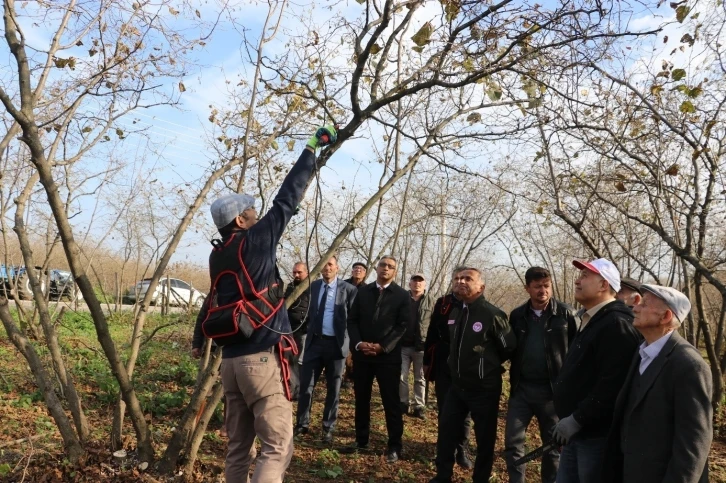 Samsun’da 2022’de 112 bin 301 ton fındık üretildi
