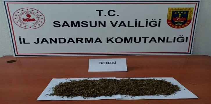 Samsun’da uyuşturucu ve kaçakçılık operasyonları: 28 gözaltı
