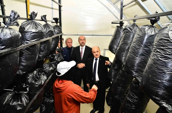 Samsun’daki bu tesis sayesinde mantar zehirlenmeleri azalacak
