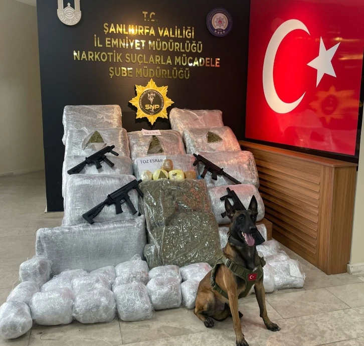 Şanlıurfa’da 170 kilo 700 gram skunk ele geçirildi
