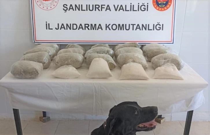 Şanlıurfa’da 20 kilogram uyuşturucu ele geçirildi: 2 gözaltı
