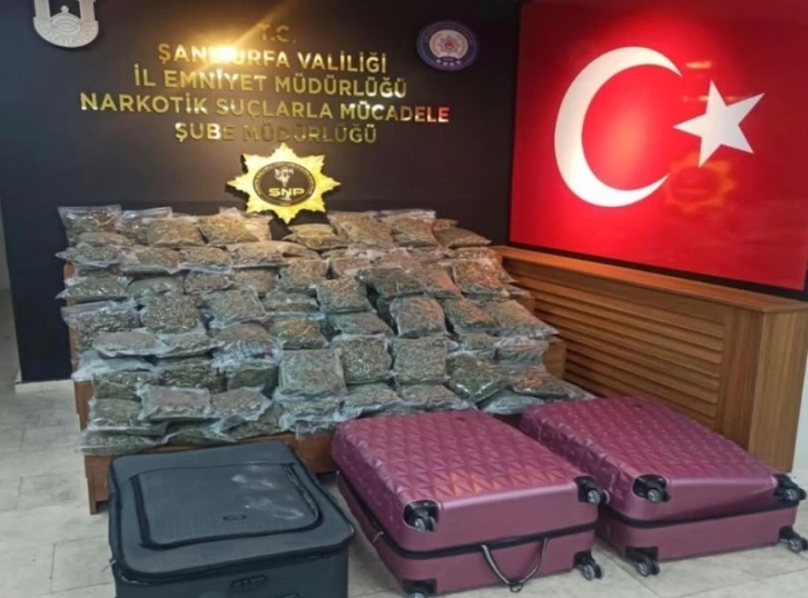 Şanlıurfa’da 59 kilo 650 gram skunk ele geçirildi: 5 gözaltı
