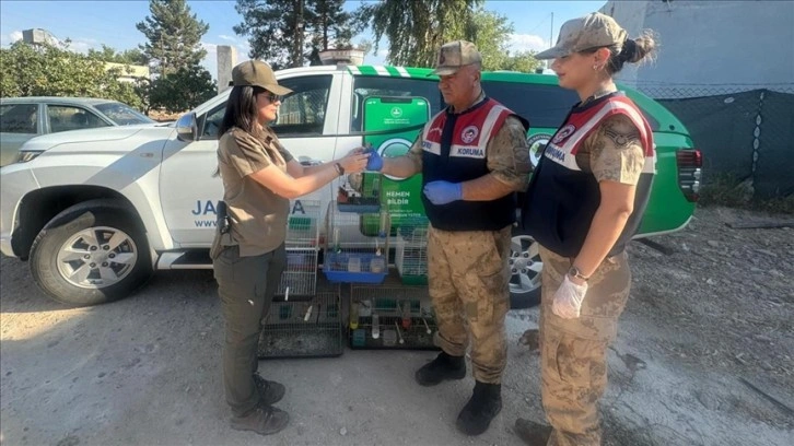 Şanlıurfa'da koruma altındaki kuşları kafeste besleyen kişiye 23 bin 322 lira para cezası