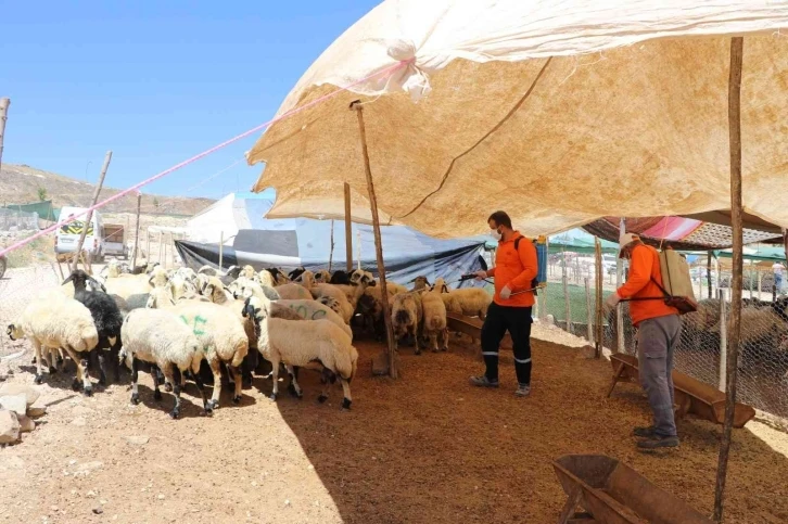 Şanlıurfa’da kurban satış noktalarına ilaçlama
