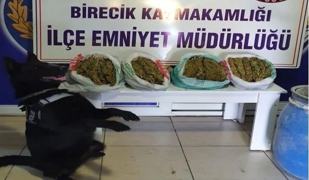 Şanlıurfa’da narkotik köpeği ’Kyra’ uyuşturucuya geçit vermedi
