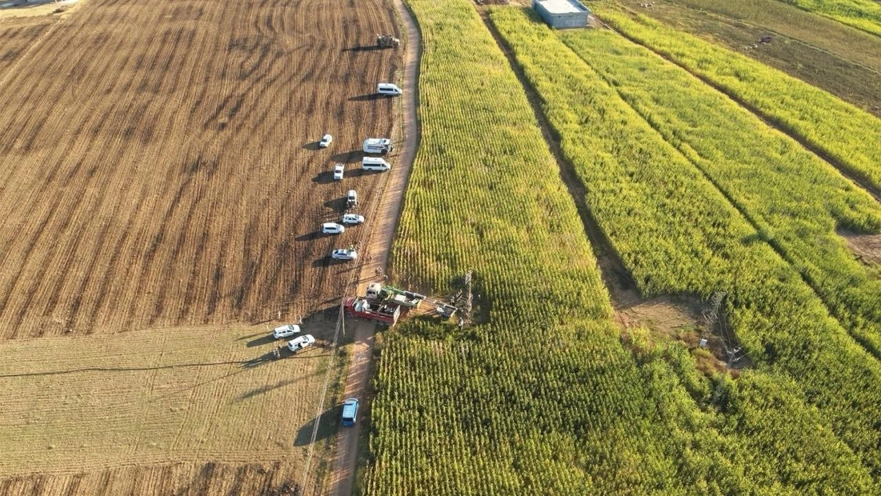 Şanlıurfa'da tarlalarda 15 kayıt dışı trafo tespit edildi