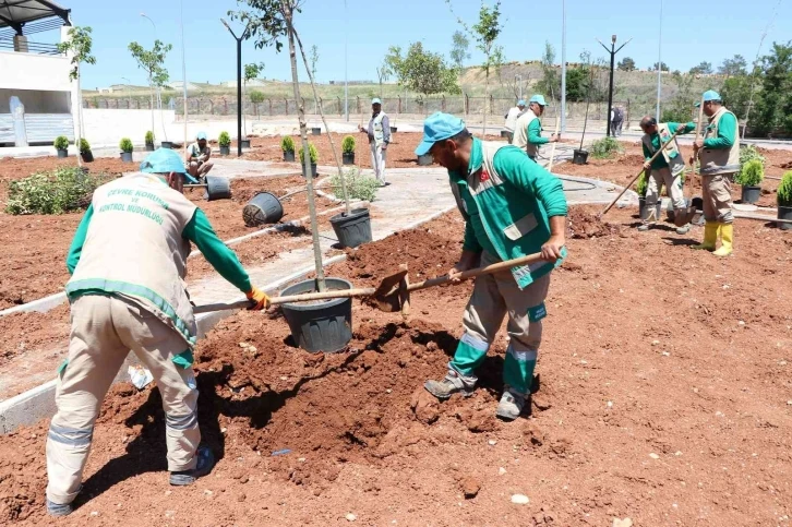 Şanlıurfa’da yeşil alan artırma çalışması
