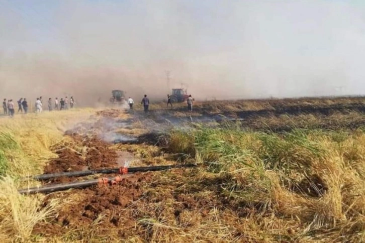 Şanlıurfa’da 80 dönüm buğday tarlası yandı