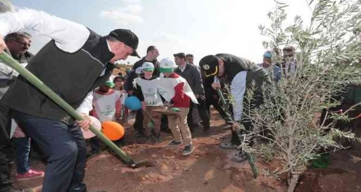 Şanlıurfa’da binlerce fidan toprakla buluşturuldu