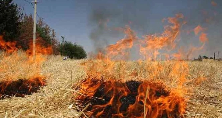 Şanlıurfa’da çiftçilere anız uyarısı