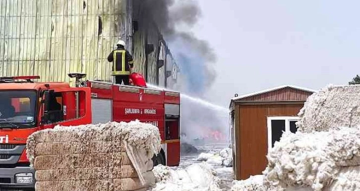 Şanlıurfa’da fabrika yangını