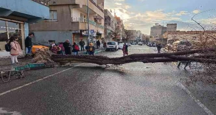 Şanlıurfa’da faciadan dönüldü