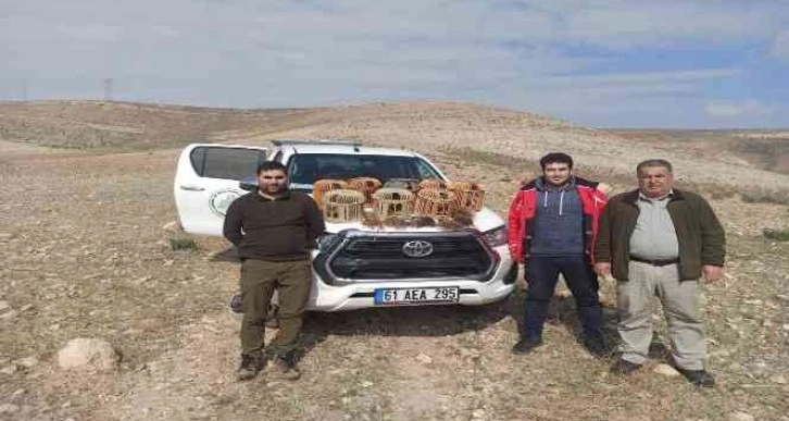 Şanlıurfa’da kaçak avlanan 7 kişiye işlem yapıldı