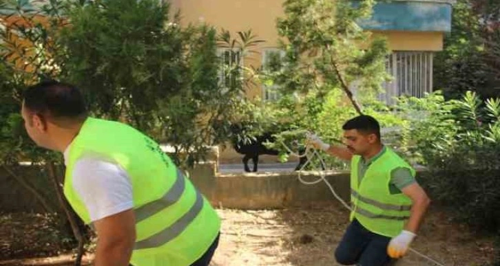 Şanlıurfa’da kaçan büyükbaş kurbanlık zor anlar yaşattı