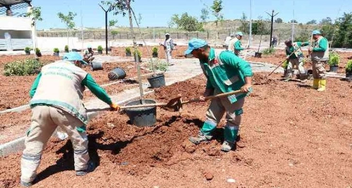 Şanlıurfa’da yeşil alan artırma çalışması