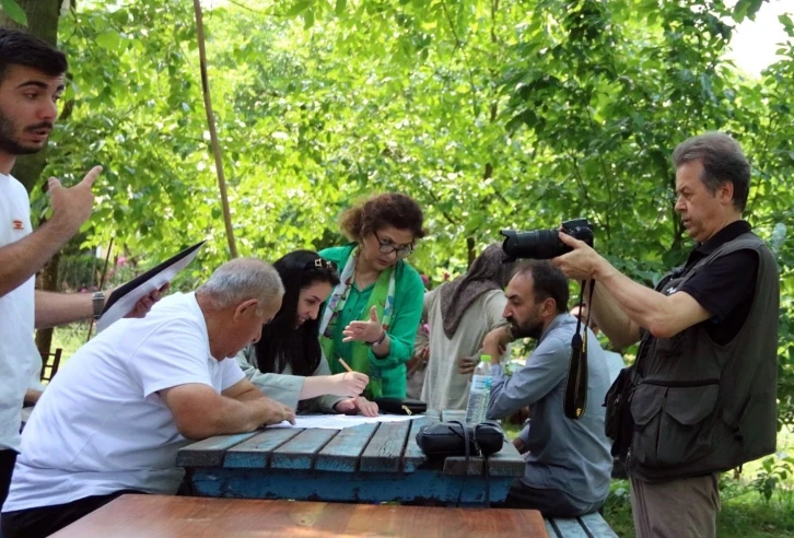 Sapanca’nın çınarları anılarını anlatacak
