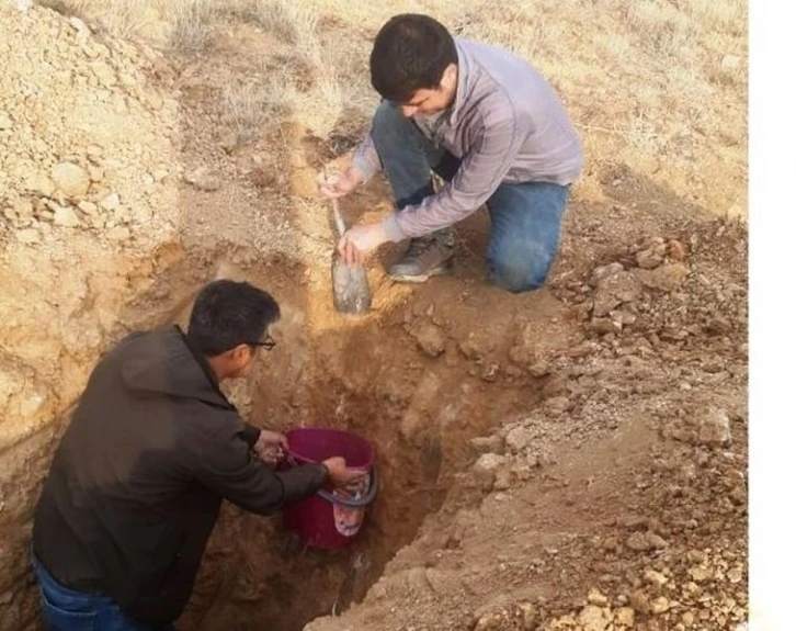 Şaphane’de ceviz dikimi öncesi toprak analizi için numune alımı
