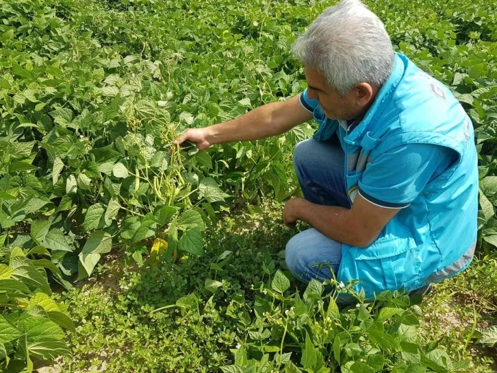 Şaphane’de “Nadasa elveda” projesi
