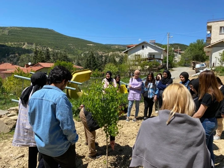 Şaphane Meslek Yüksekokulu öğrencilerine aktivite-uğraşı terapisi çalışması
