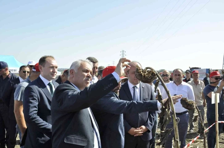 Saray’da Tarla Günü etkinliği
