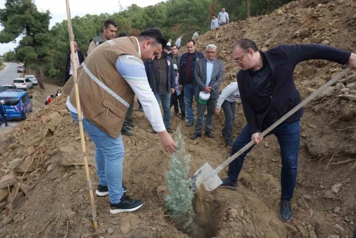 Sarıgöl’de fidanlar yanan ormanlık alana dikildi
