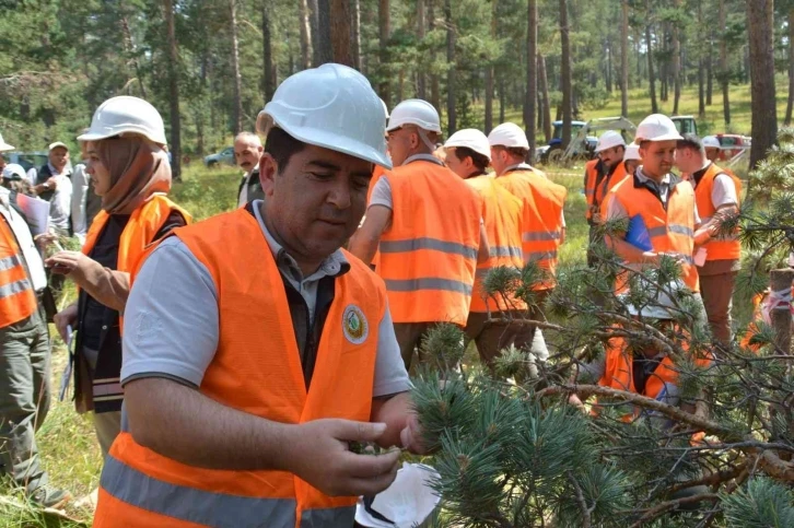 Sarıkamış’ta "Silvikültürel Uygulamaları” eğitimi
