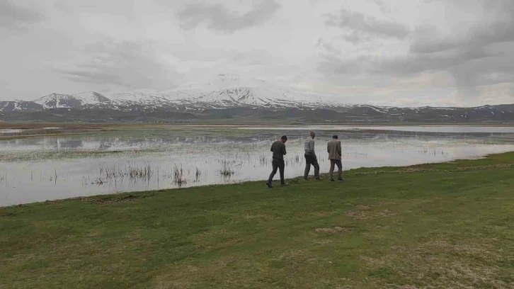 Sarısu Ovası’nın karlı Süphan Dağı’yla kartpostallık görüntüsü
