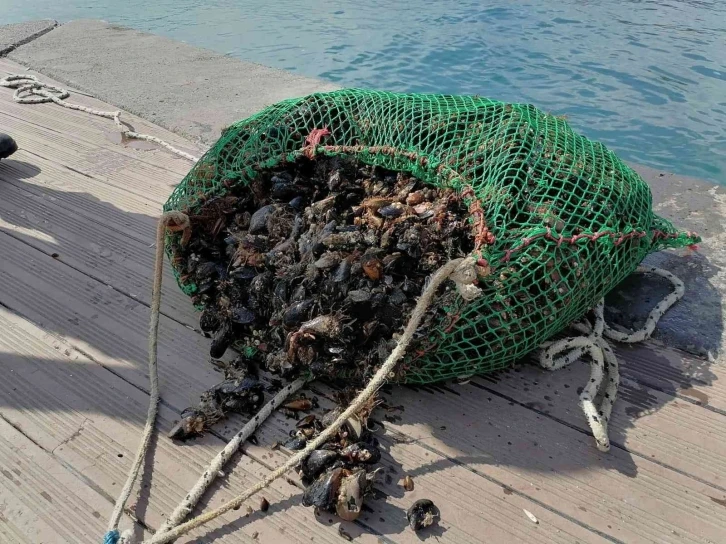 Sarıyer’de amatör olta balıkçıları ve denizde kaçak midye avcılığı denetimi
